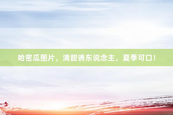 哈密瓜图片，清甜诱东说念主，夏季可口！